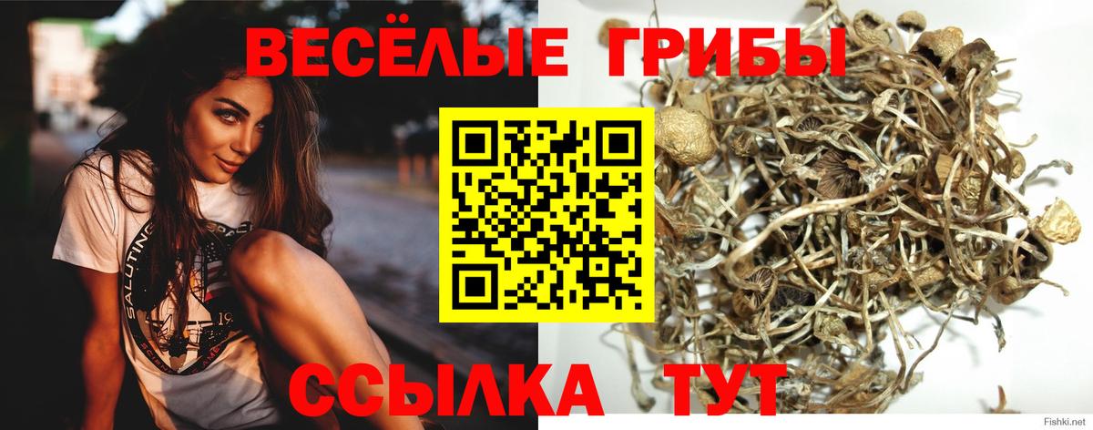 Галлюциногенные грибы мухоморы Каспийск