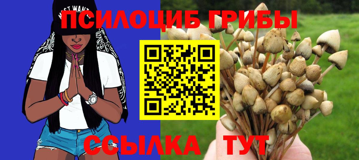 Галлюциногенные грибы Psilocybe  Вход с VPN  Галлюциногенные грибы прущие грибы  Каспийск 